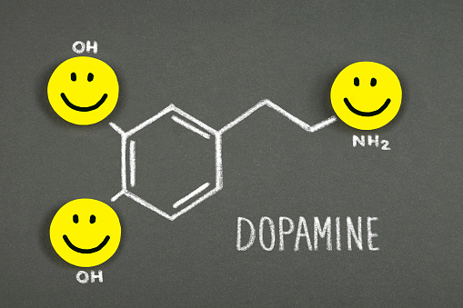 Dopamine Explained
